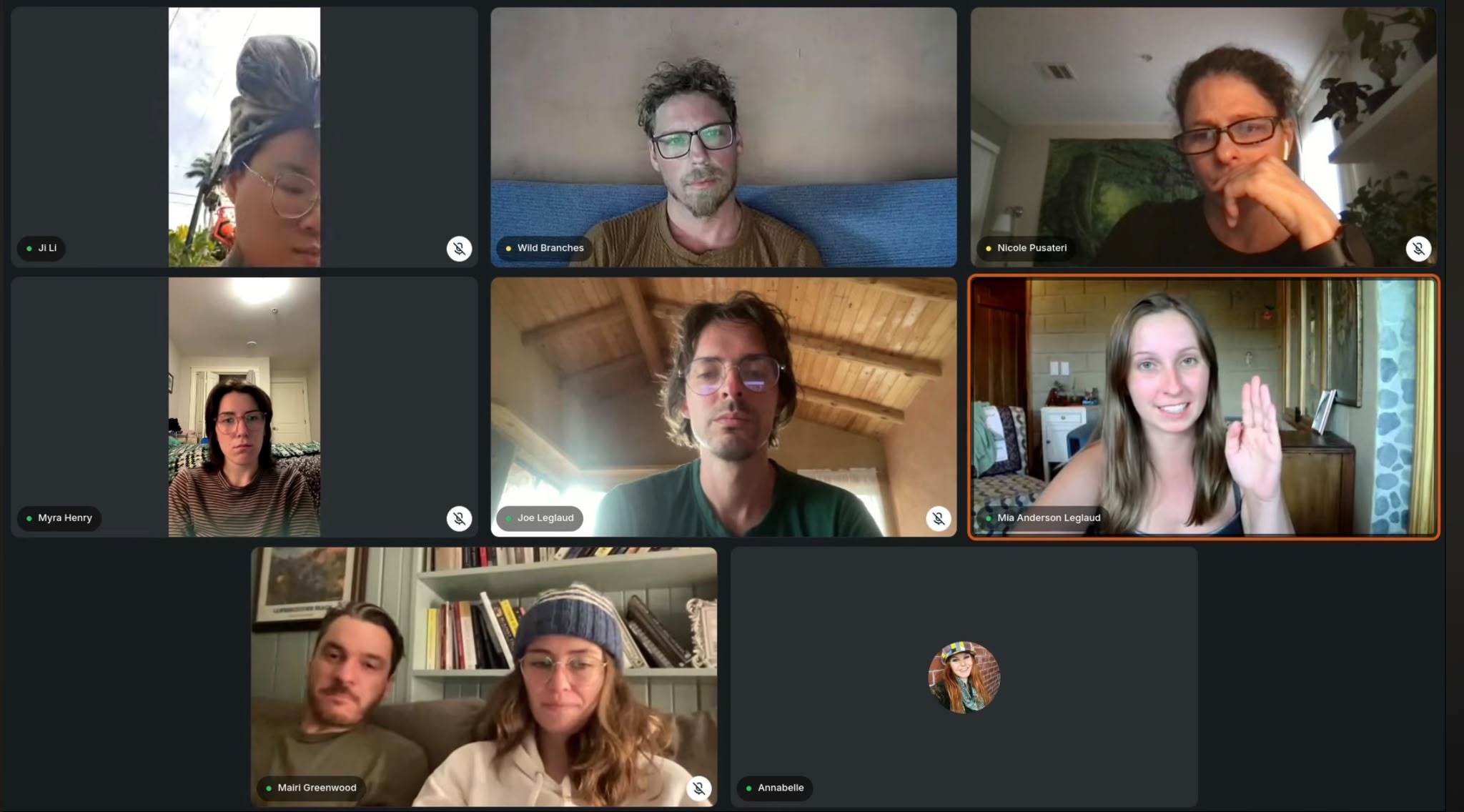 A weekly Wild Branches call on Zoom, with members of the community on screen